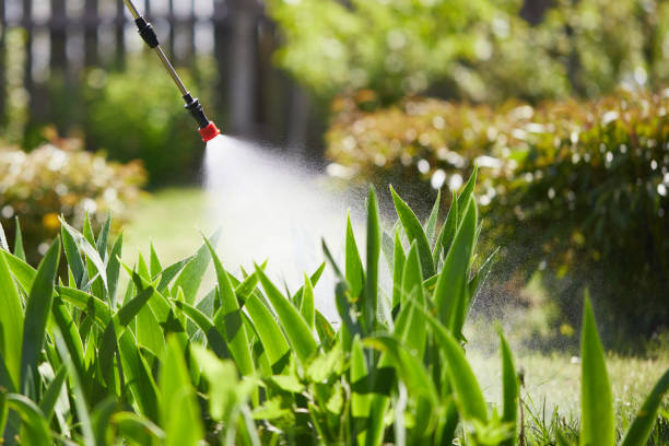 24/7 Emergency Wasp Removal experts in Hudson, IL