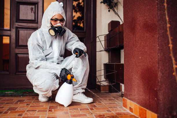Reliable Wasp Removal contractor in Hudson, IL by Show Me Pest Control