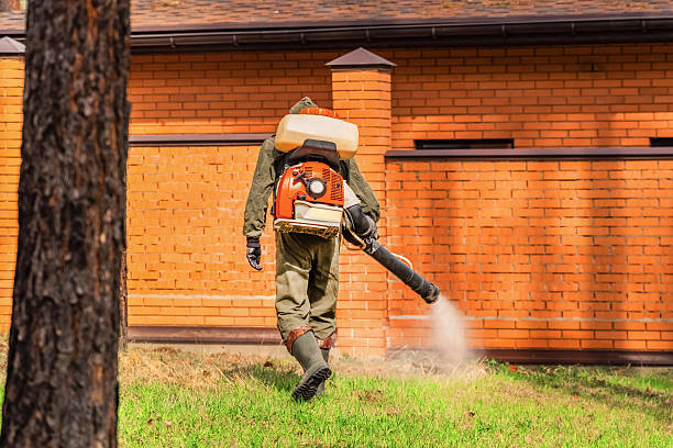Top rated local Wasp Removal specialists in Hudson, IL